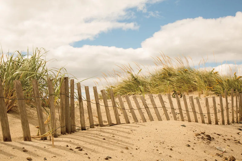 Beach Dunes I by Aledanda. SKU 46210i. Archival Giclee Fine art print for wall decor.