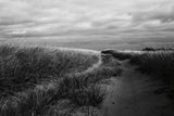 Beach Grasses by Aledanda. SKU 64363i. Archival Giclee Fine art print for wall decor.