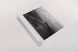 Beach Grasses by Aledanda. shown as a rolled paper print. Available as archival giclee rolled canvas, fine art paper, or poster print. SKU 64363i.