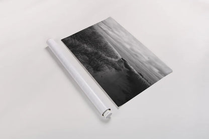 Beach Grasses by Aledanda. shown as a rolled paper print. Available as archival giclee rolled canvas, fine art paper, or poster print. SKU 64363i.