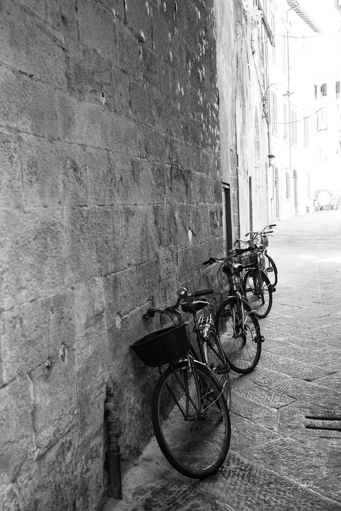 Bicycles in the Alley by Aledanda. SKU 67688h. Archival Giclee Fine art print for wall decor.