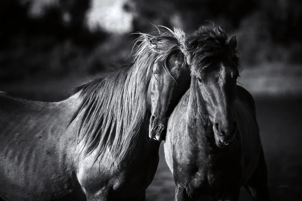 Buddies by Aledanda. SKU 47853i. Archival Giclee Fine art print for wall decor.