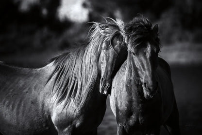 Buddies by Aledanda. SKU 47853i. Archival Giclee Fine art print for wall decor.