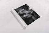 Buddies by Aledanda. shown as a rolled paper print. Available as archival giclee rolled canvas, fine art paper, or poster print. SKU 47853i.