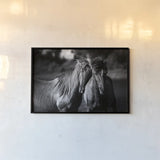 Buddies by Aledanda. shown as a paper print in a black flame. Available as a archival giclee rolled canvas, fine art paper, or poster print. SKU 47853i.