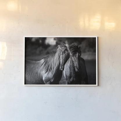 Buddies by Aledanda. shown as a paper print in a white frame. Available as a archival giclee rolled canvas, fine art paper, or poster print. SKU 47853i.