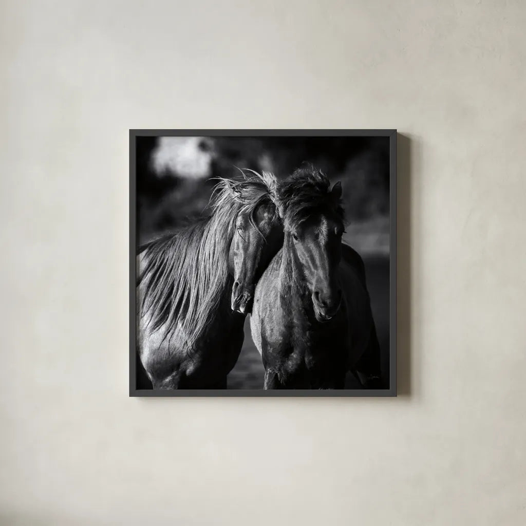 Buddies Crop by Aledanda. Shown in a sleek black glass frame for a contemporary gallery look. Available as an archival giclee rolled canvas, fine art paper, or poster print. SKU 47853a.