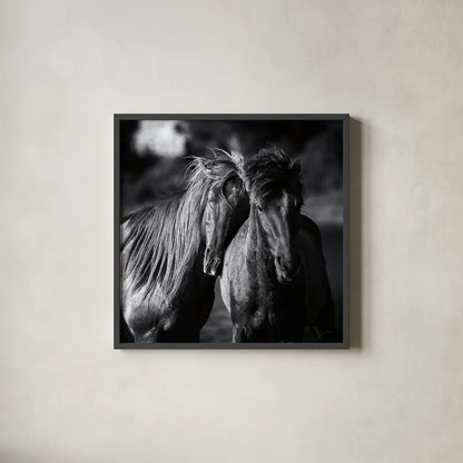 Buddies Crop by Aledanda. Shown in a sleek black glass frame for a contemporary gallery look. Available as an archival giclee rolled canvas, fine art paper, or poster print. SKU 47853a.