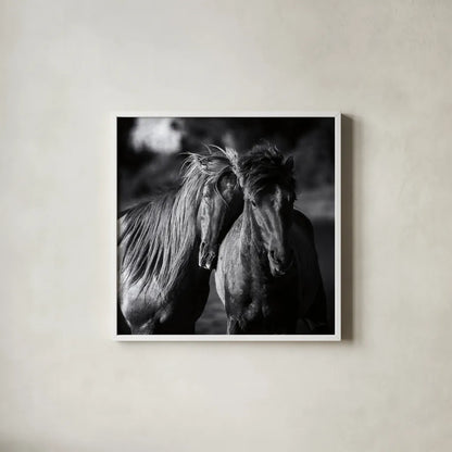 Buddies Crop by Aledanda. Shown in a crisp white glass frame for a clean and minimalist style. Available as an archival giclee rolled canvas, fine art paper, or poster print. SKU 47853a.