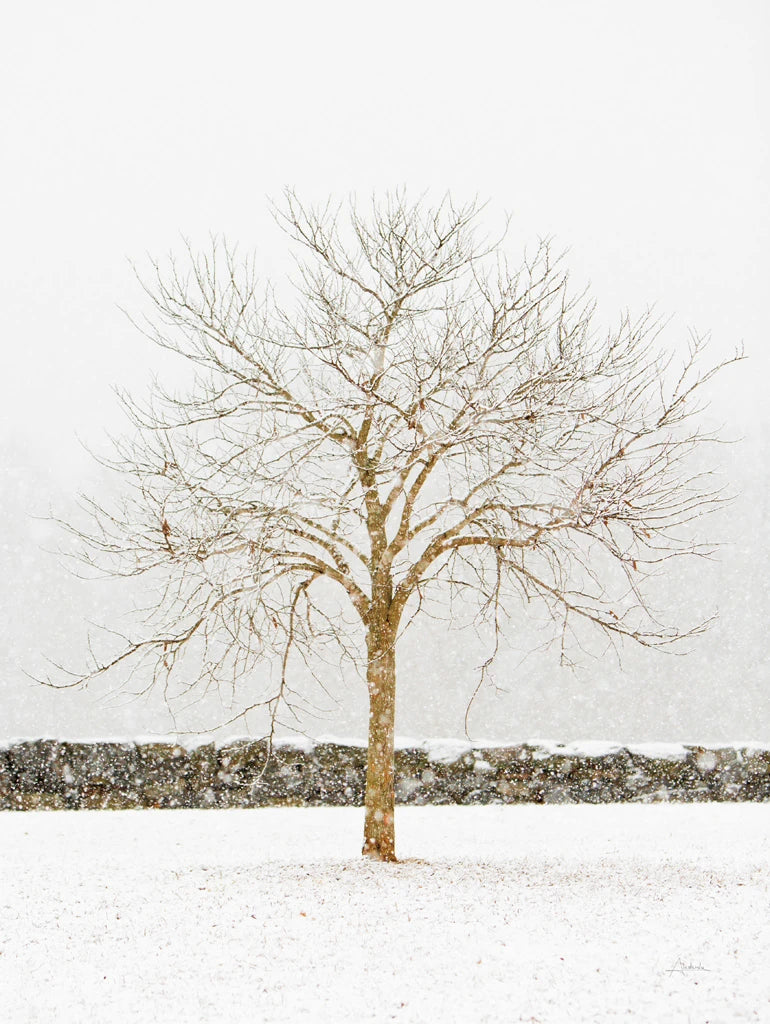By the Stone Wall by Aledanda