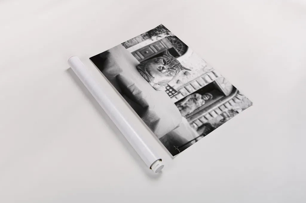 Cafe Cat by Aledanda. shown as a rolled paper print. Available as archival giclee rolled canvas, fine art paper, or poster print. SKU 101053i.