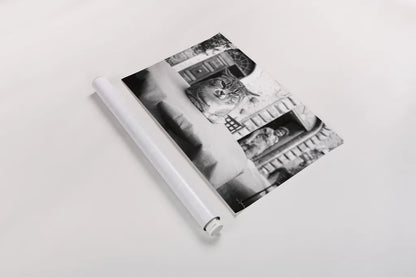 Cafe Cat by Aledanda. shown as a rolled paper print. Available as archival giclee rolled canvas, fine art paper, or poster print. SKU 101053i.