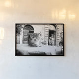 Cafe Cat by Aledanda. shown as a paper print in a black flame. Available as a archival giclee rolled canvas, fine art paper, or poster print. SKU 101053i.
