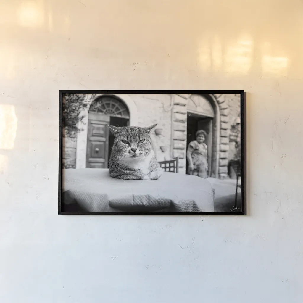 Cafe Cat by Aledanda. shown as a paper print in a black flame. Available as a archival giclee rolled canvas, fine art paper, or poster print. SKU 101053i.