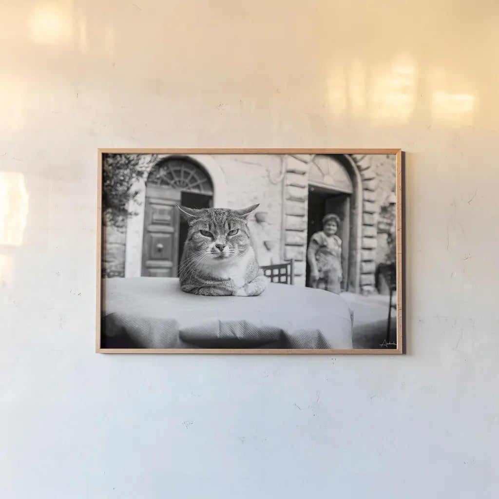 Cafe Cat by Aledanda. shown as a paper print in a natural frame. Available as a archival giclee rolled canvas, fine art paper, or poster print. SKU 101053i.