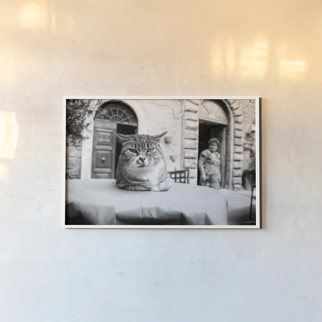 Cafe Cat by Aledanda. shown as a paper print in a white frame. Available as a archival giclee rolled canvas, fine art paper, or poster print. SKU 101053i.