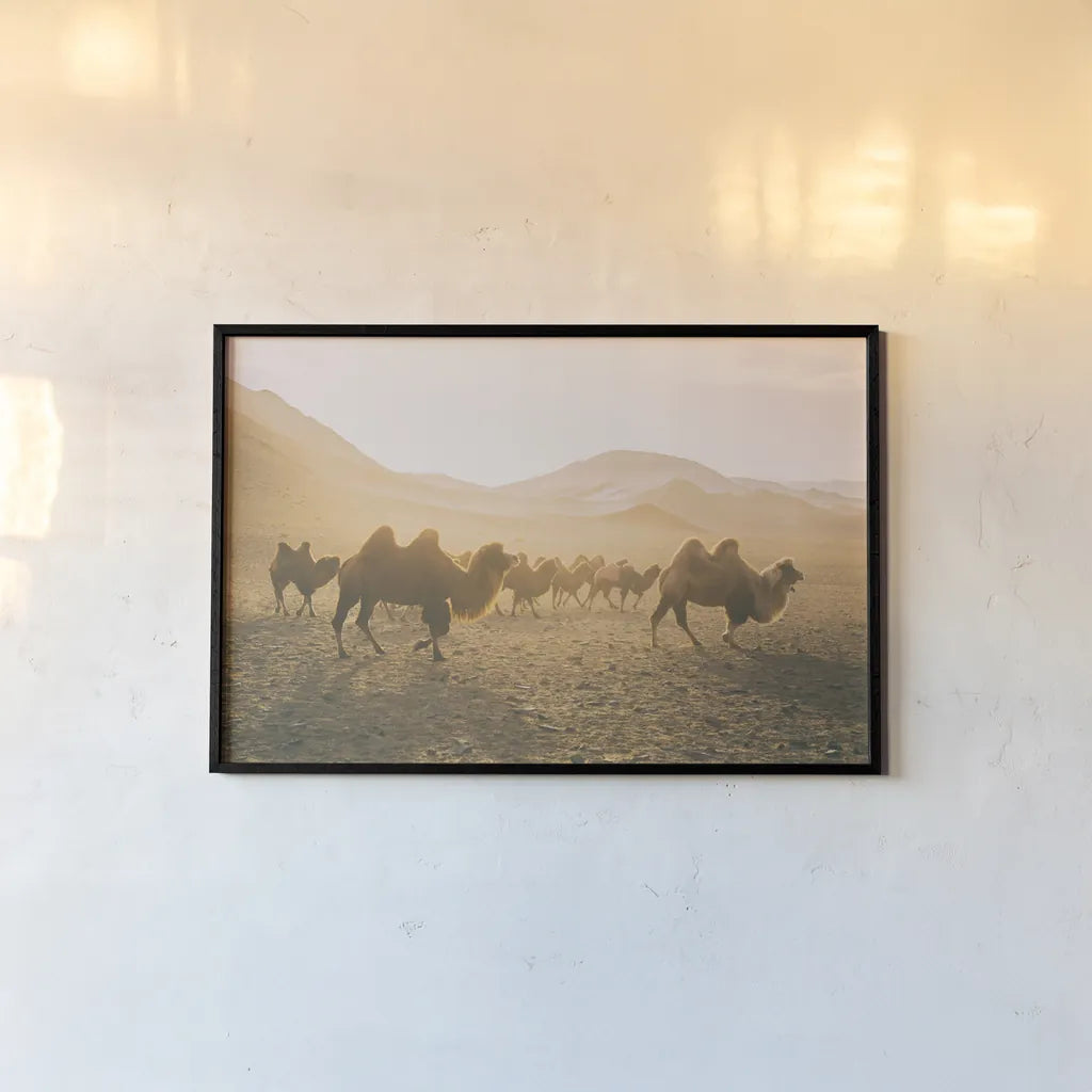 Camels on the Move by Aledanda. shown as a paper print in a black flame. Available as a archival giclee rolled canvas, fine art paper, or poster print. SKU 63224i.