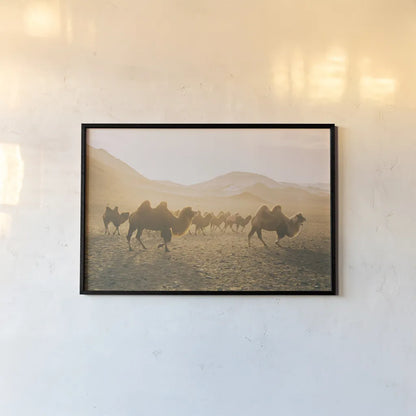 Camels on the Move by Aledanda. shown as a paper print in a black flame. Available as a archival giclee rolled canvas, fine art paper, or poster print. SKU 63224i.