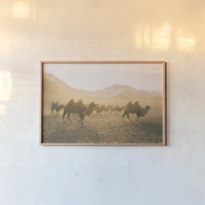 Camels on the Move by Aledanda. shown as a paper print in a natural frame. Available as a archival giclee rolled canvas, fine art paper, or poster print. SKU 63224i.