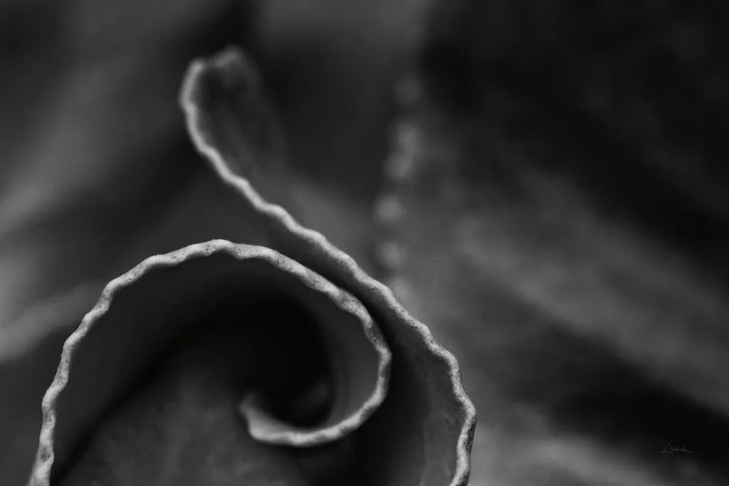 Circling Around by Aledanda. SKU 55302i. Archival Giclee Fine art print for wall decor.