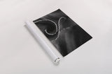 Circling Around by Aledanda. shown as a rolled paper print. Available as archival giclee rolled canvas, fine art paper, or poster print. SKU 55302i.
