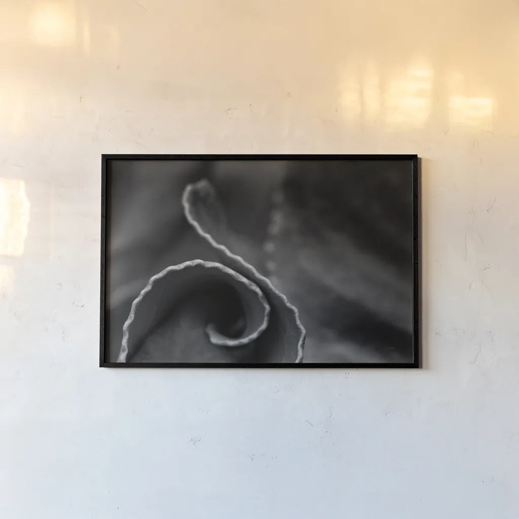 Circling Around by Aledanda. shown as a paper print in a black flame. Available as a archival giclee rolled canvas, fine art paper, or poster print. SKU 55302i.