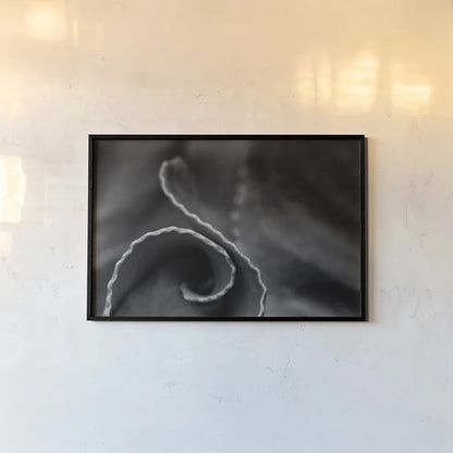 Circling Around by Aledanda. shown as a paper print in a black flame. Available as a archival giclee rolled canvas, fine art paper, or poster print. SKU 55302i.