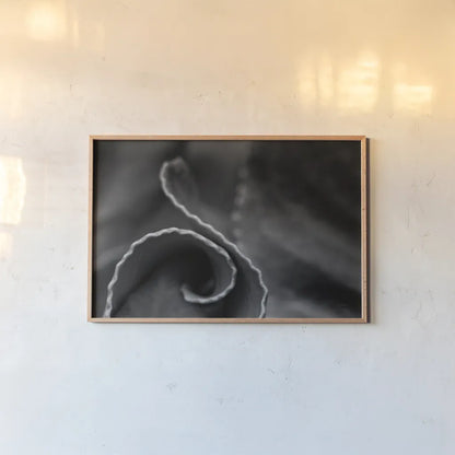 Circling Around by Aledanda. shown as a paper print in a natural frame. Available as a archival giclee rolled canvas, fine art paper, or poster print. SKU 55302i.