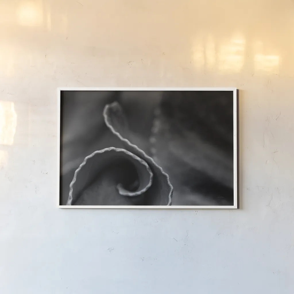 Circling Around by Aledanda. shown as a paper print in a white frame. Available as a archival giclee rolled canvas, fine art paper, or poster print. SKU 55302i.