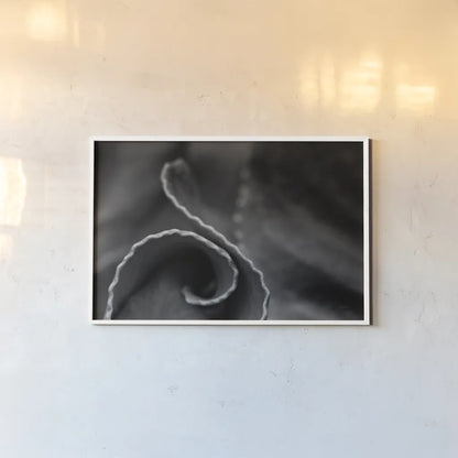 Circling Around by Aledanda. shown as a paper print in a white frame. Available as a archival giclee rolled canvas, fine art paper, or poster print. SKU 55302i.