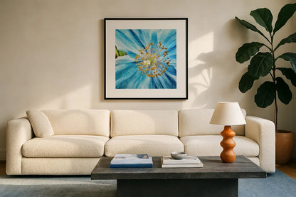 Clematis by Aledanda. Displayed in a glass frame with matte in a clean modern living room. Available as an archival giclee rolled canvas, fine art paper, or poster print. SKU 37457a.