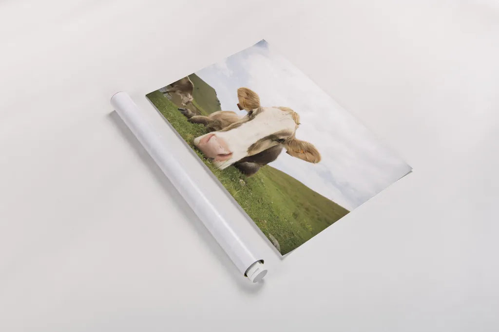 Close Up I by Aledanda. shown as a rolled paper print. Available as archival giclee rolled canvas, fine art paper, or poster print. SKU 38291i.