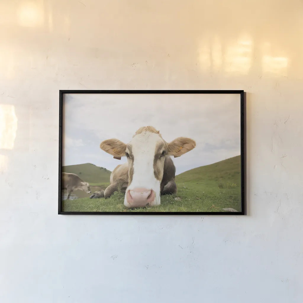 Close Up I by Aledanda. shown as a paper print in a black flame. Available as a archival giclee rolled canvas, fine art paper, or poster print. SKU 38291i.