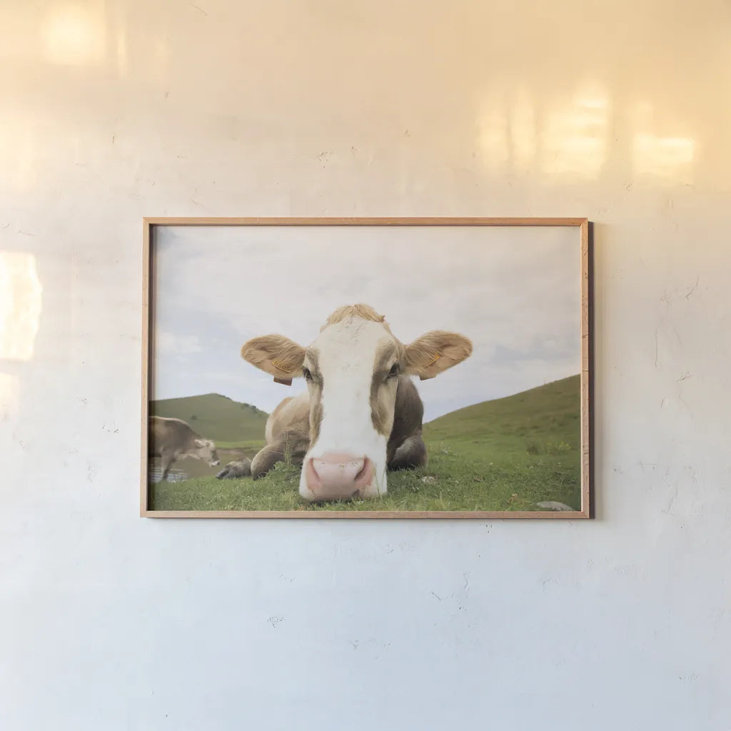 Close Up I by Aledanda. shown as a paper print in a natural frame. Available as a archival giclee rolled canvas, fine art paper, or poster print. SKU 38291i.