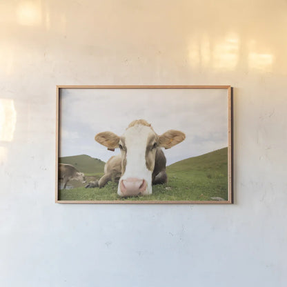 Close Up I by Aledanda. shown as a paper print in a natural frame. Available as a archival giclee rolled canvas, fine art paper, or poster print. SKU 38291i.