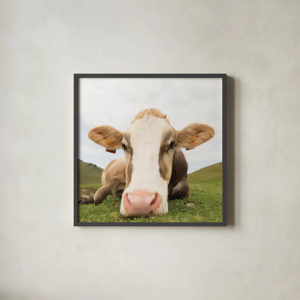 Close Up I Crop by Aledanda. Shown in a sleek black glass frame for a contemporary gallery look. Available as an archival giclee rolled canvas, fine art paper, or poster print. SKU 38291a.