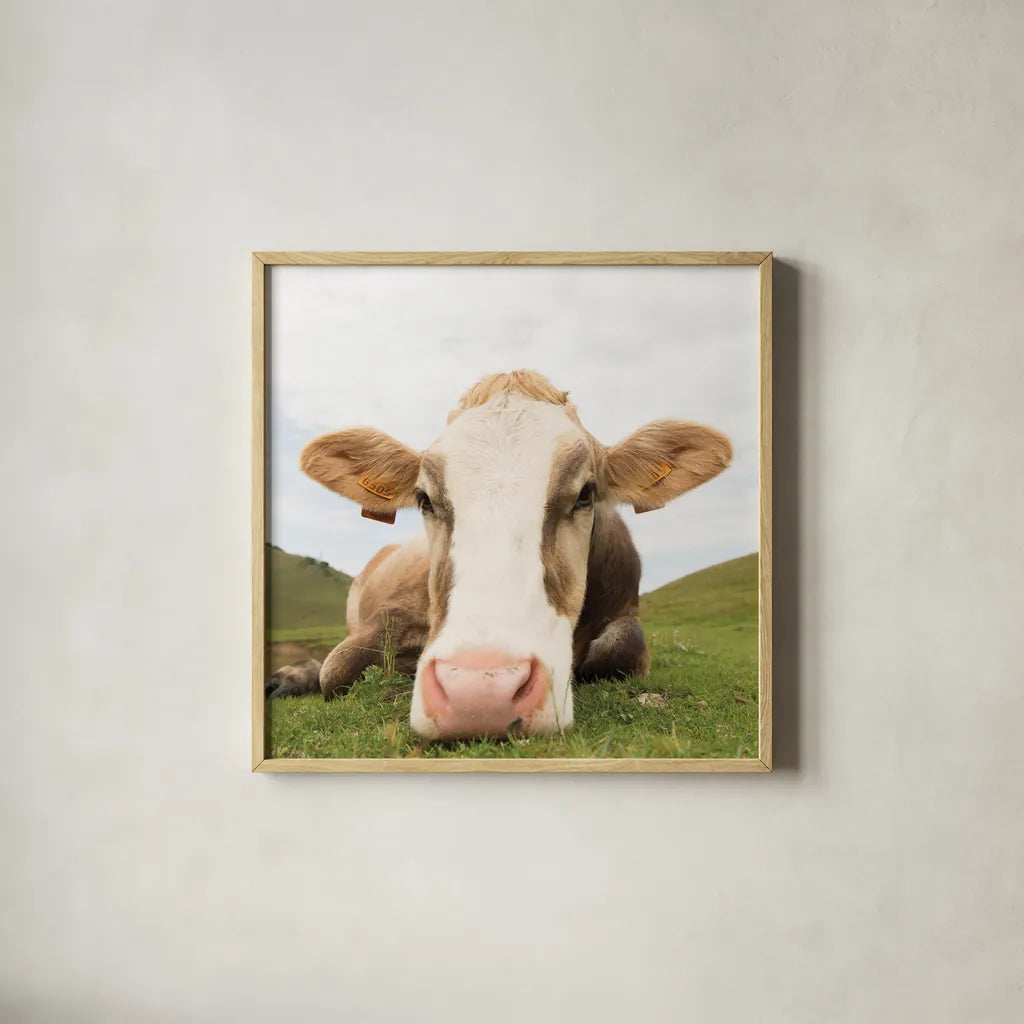 Close Up I Crop by Aledanda. Shown in a natural wood glass frame for a timeless modern aesthetic. Available as an archival giclee rolled canvas, fine art paper, or poster print. SKU 38291a.