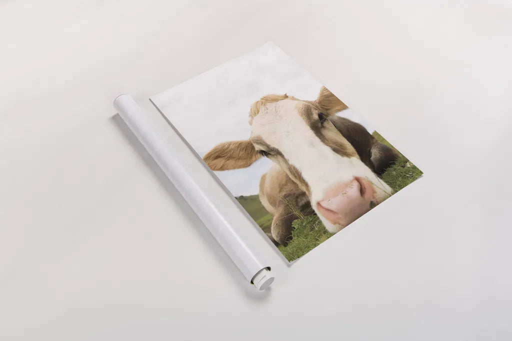 Close Up I v2 Crop by Aledanda. shown as a rolled paper print. Available as archival giclee rolled canvas, fine art paper, or poster print. SKU 43244h.