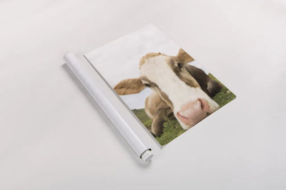 Close Up I v2 Crop by Aledanda. shown as a rolled paper print. Available as archival giclee rolled canvas, fine art paper, or poster print. SKU 43244h.