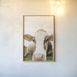 Close Up I v2 Crop by Aledanda. shown as a paper print in a natural frame. Available as a archival giclee rolled canvas, fine art paper, or poster print. SKU 43244h.