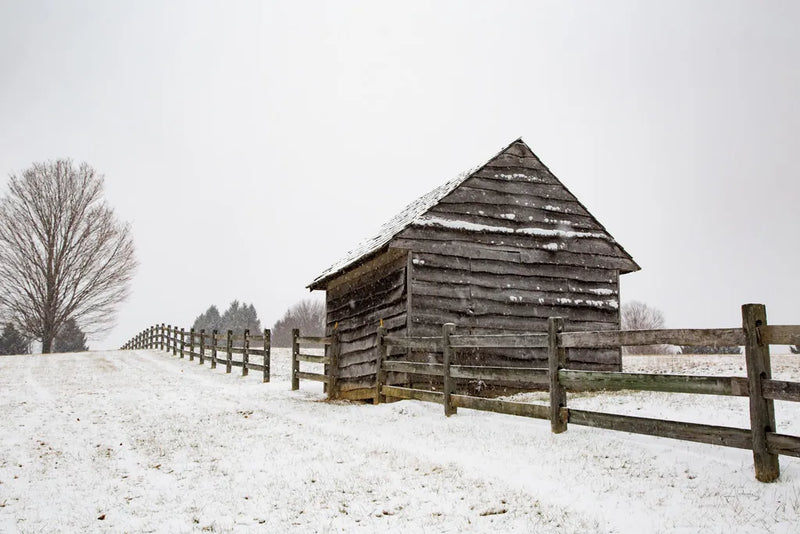 Coming to the Barn by Aledanda. SKU 60533i. Archival Giclee Fine art print for wall decor.