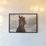 Companion by Aledanda. shown as a paper print in a black flame. Available as a archival giclee rolled canvas, fine art paper, or poster print. SKU 98035i.