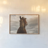 Companion by Aledanda. shown as a paper print in a natural frame. Available as a archival giclee rolled canvas, fine art paper, or poster print. SKU 98035i.