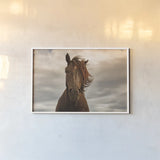 Companion by Aledanda. shown as a paper print in a white frame. Available as a archival giclee rolled canvas, fine art paper, or poster print. SKU 98035i.