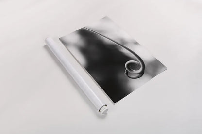 Curly Cue by Aledanda. shown as a rolled paper print. Available as archival giclee rolled canvas, fine art paper, or poster print. SKU 55303h.