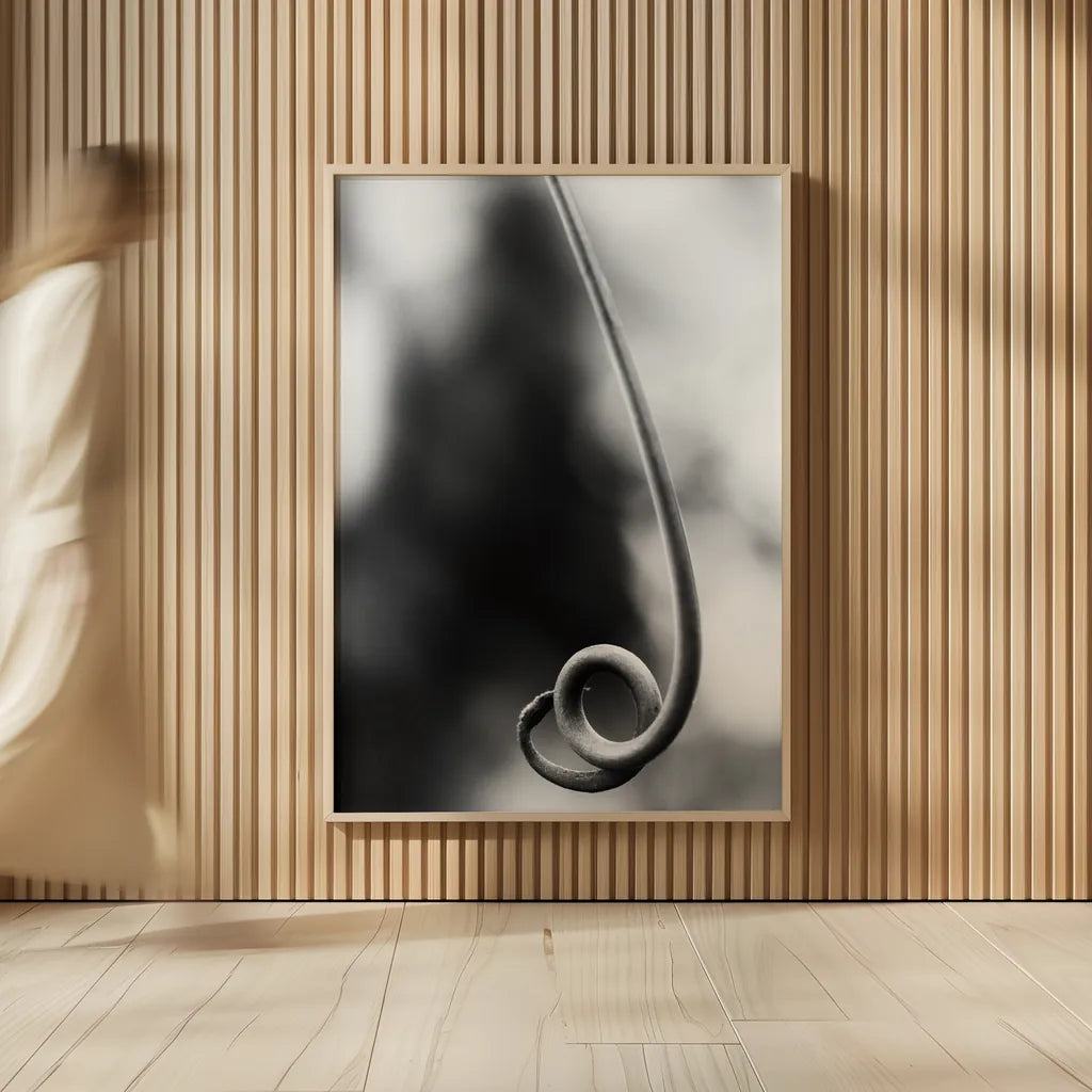 Curly Cue by Aledanda. shown as over sized large wall art. Available as an archival giclee rolled canvas, fine art paper, or poster print. SKU 55303h.