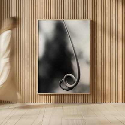 Curly Cue by Aledanda. shown as over sized large wall art. Available as an archival giclee rolled canvas, fine art paper, or poster print. SKU 55303h.