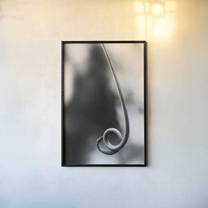 Curly Cue by Aledanda. shown as a paper print in a black flame. Available as a archival giclee rolled canvas, fine art paper, or poster print. SKU 55303h.
