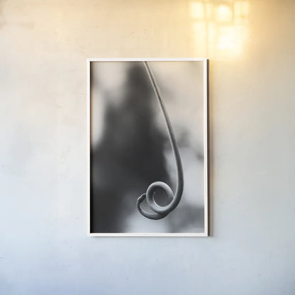 Curly Cue by Aledanda. shown as a paper print in a white frame. Available as a archival giclee rolled canvas, fine art paper, or poster print. SKU 55303h.