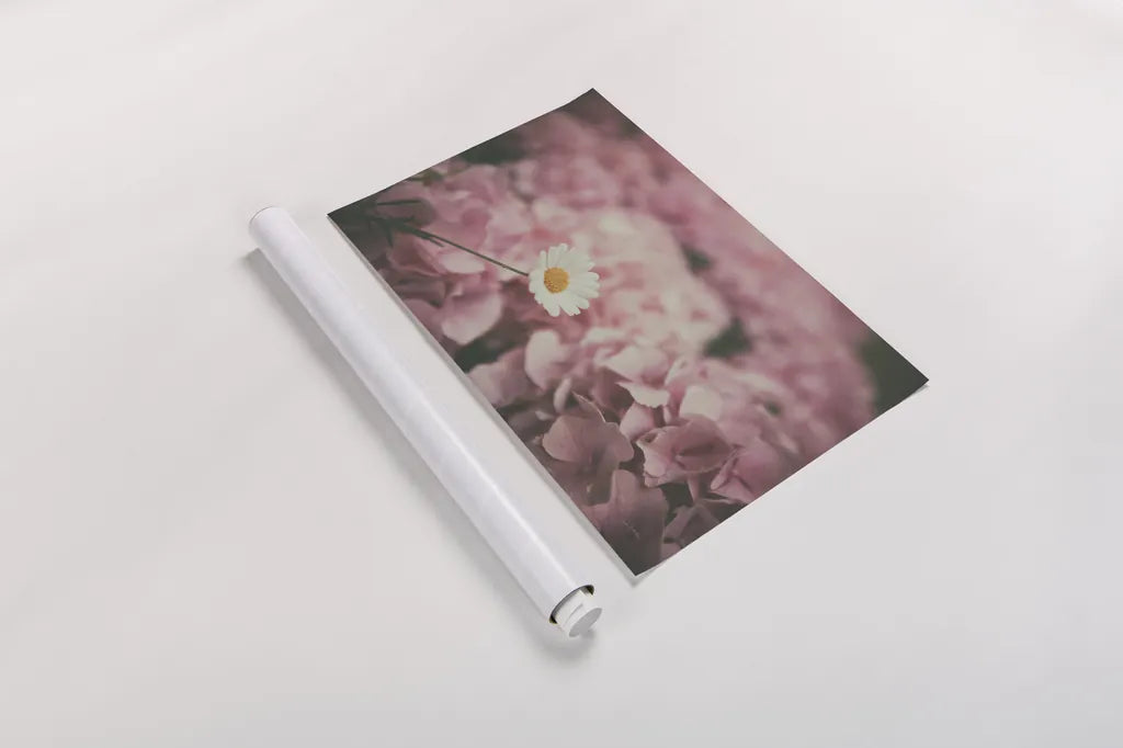 Daisy Dreams by Aledanda. shown as a rolled paper print. Available as archival giclee rolled canvas, fine art paper, or poster print. SKU 63214i.